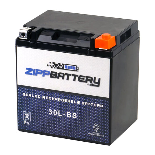 Zipp Battery YTX30L-BS (30L-BS 12 Volt,30 Ah, 270 CCA) Snowmobile Battery for Brp (ski-doo) Expedition Se Year (15-17)